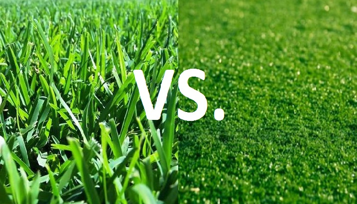 turfgrass 622797783
