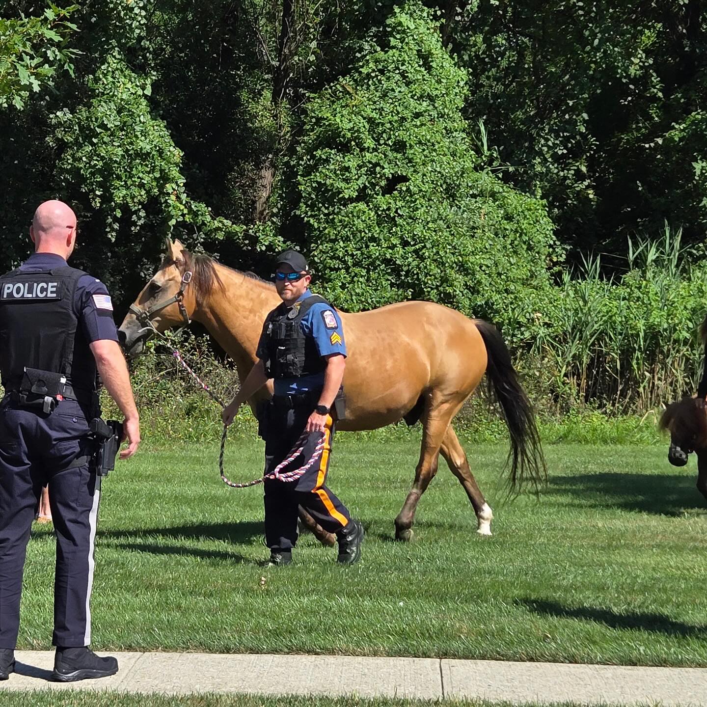 Loose Horses Cause a Stir in Park Ridge — Quick-Thinking Park Ridge & Montvale Officers Save the Day 530102404 18064286468210676 7845767064546762252 n