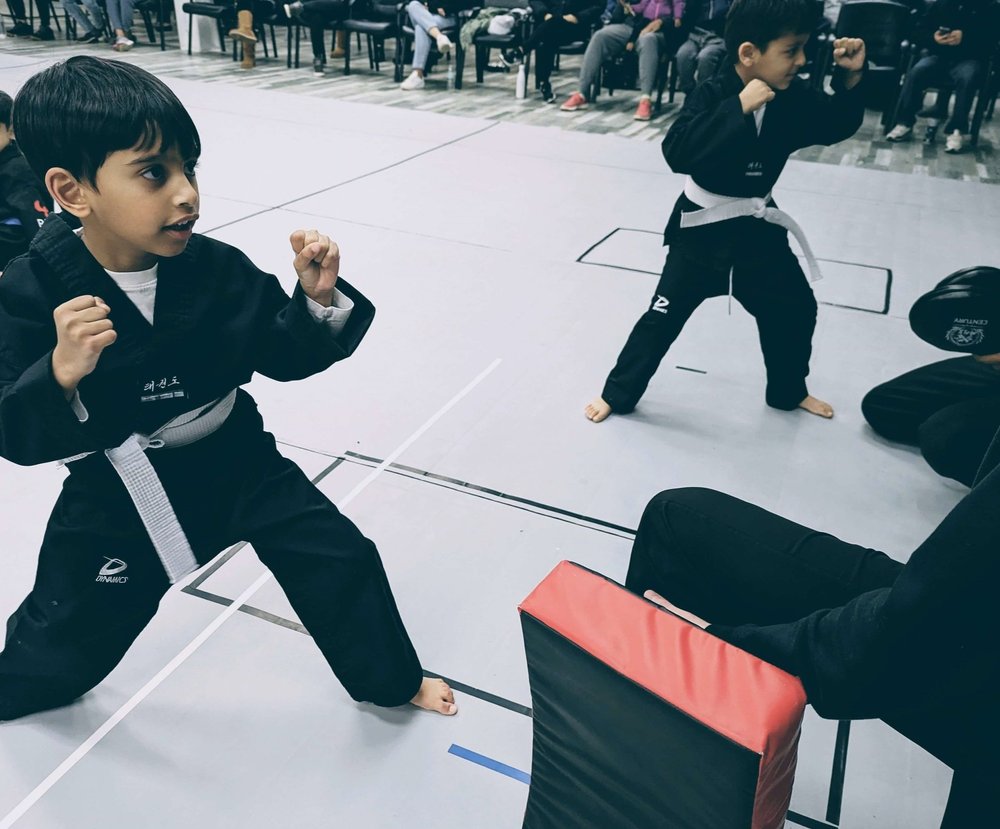 Littlekidgettingreadytothrowamartialartskick 3415727951