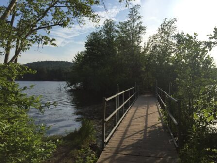 518306765 1372362227868673 6678699576339764003 n