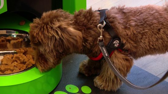 557316515 1326187769537308 1983635847992948502 n