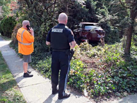 568516642 1435306565264522 2662718749814147786 n