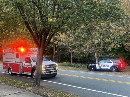 573300332 1444426577685854 562374607369197281 n