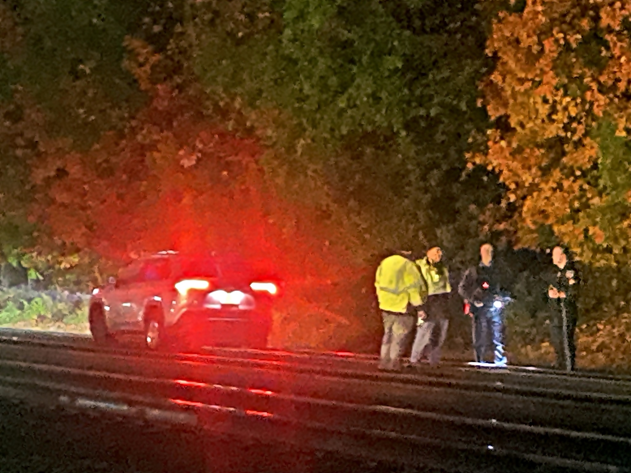 573874757 1446227094172469 3940124936969068875 n