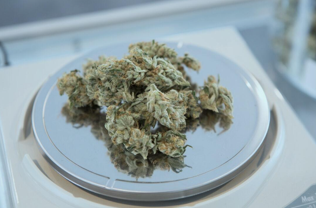 Explore Local Cannabis Dispensaries and Their Current Open Hours Screenshot 2025 10 10 143109