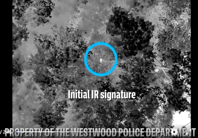 Screenshot 2025 10 19 051323