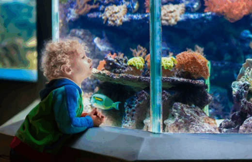 Screenshot 2025 10 28 155932