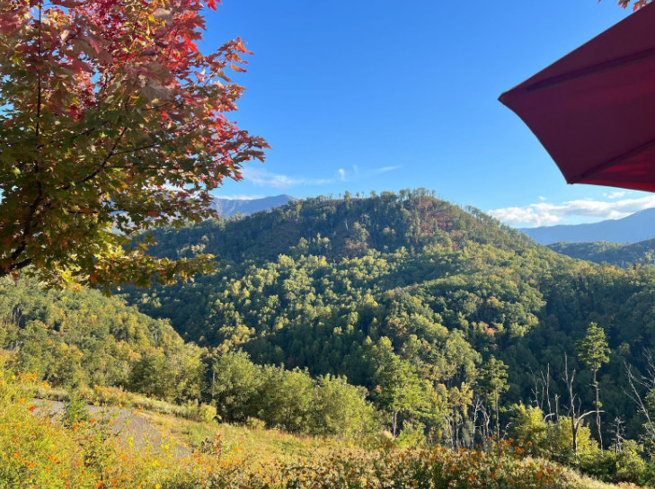 Screenshot 2025 10 30 090040