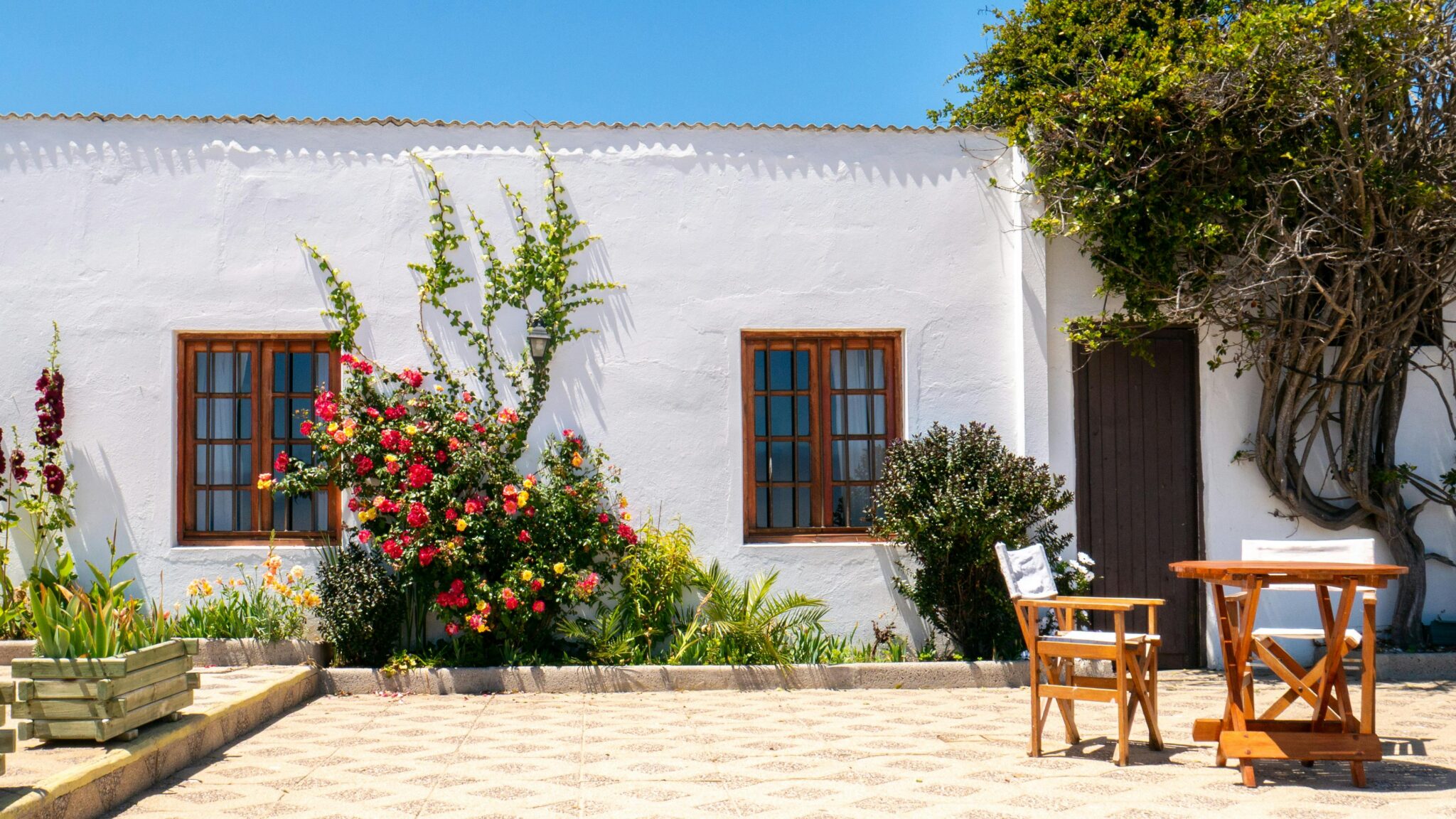 pexels hernan berwart 1212356 34343881 scaled