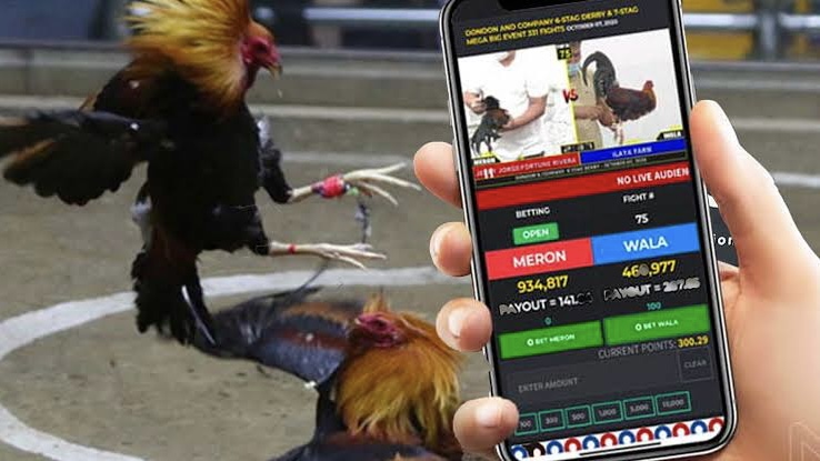 15B93D2D 8FFC 4B2B B8FE EB8465E4762E