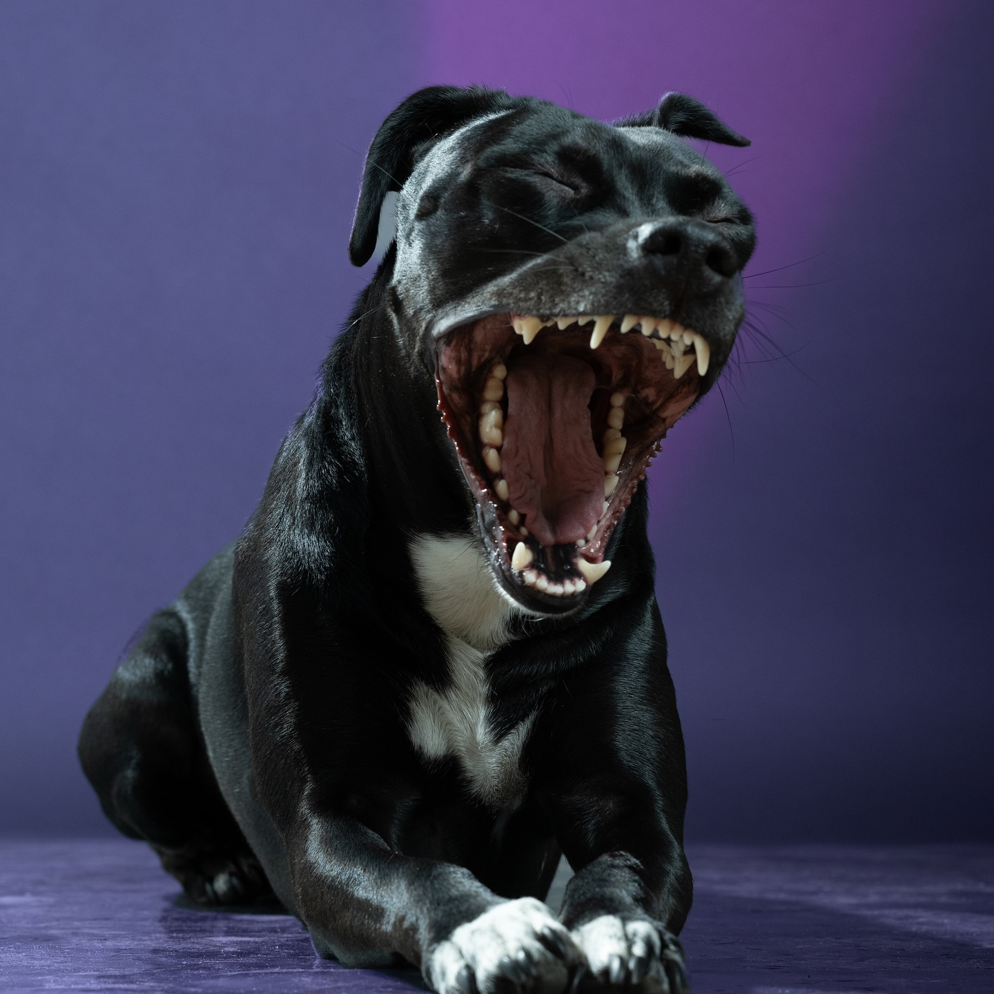 467180175 18467356429031583 7397985695875806844 n