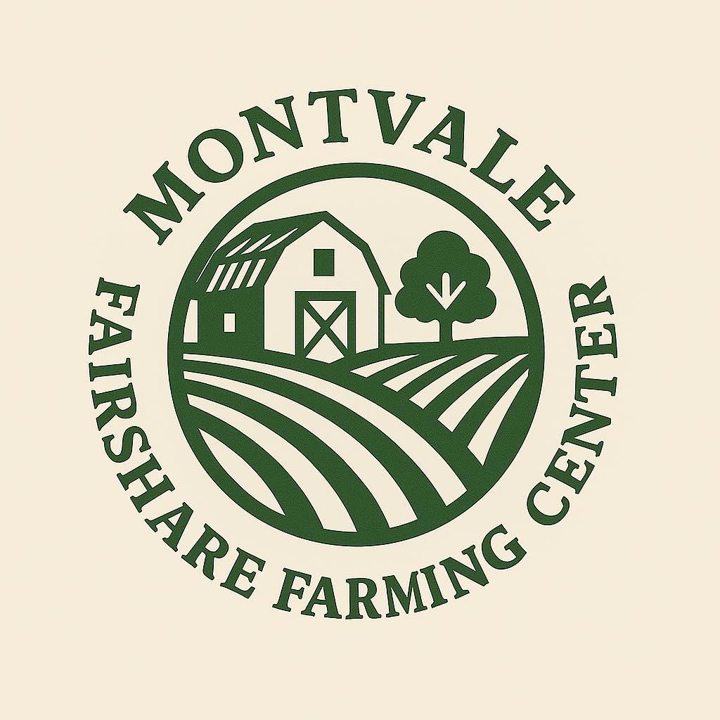 508812323 1103858244898487 5614850256436537699 n