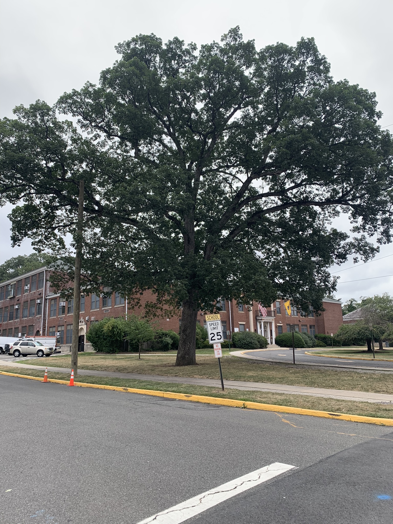 535181170 10103576141995078 5016777408122256857 n