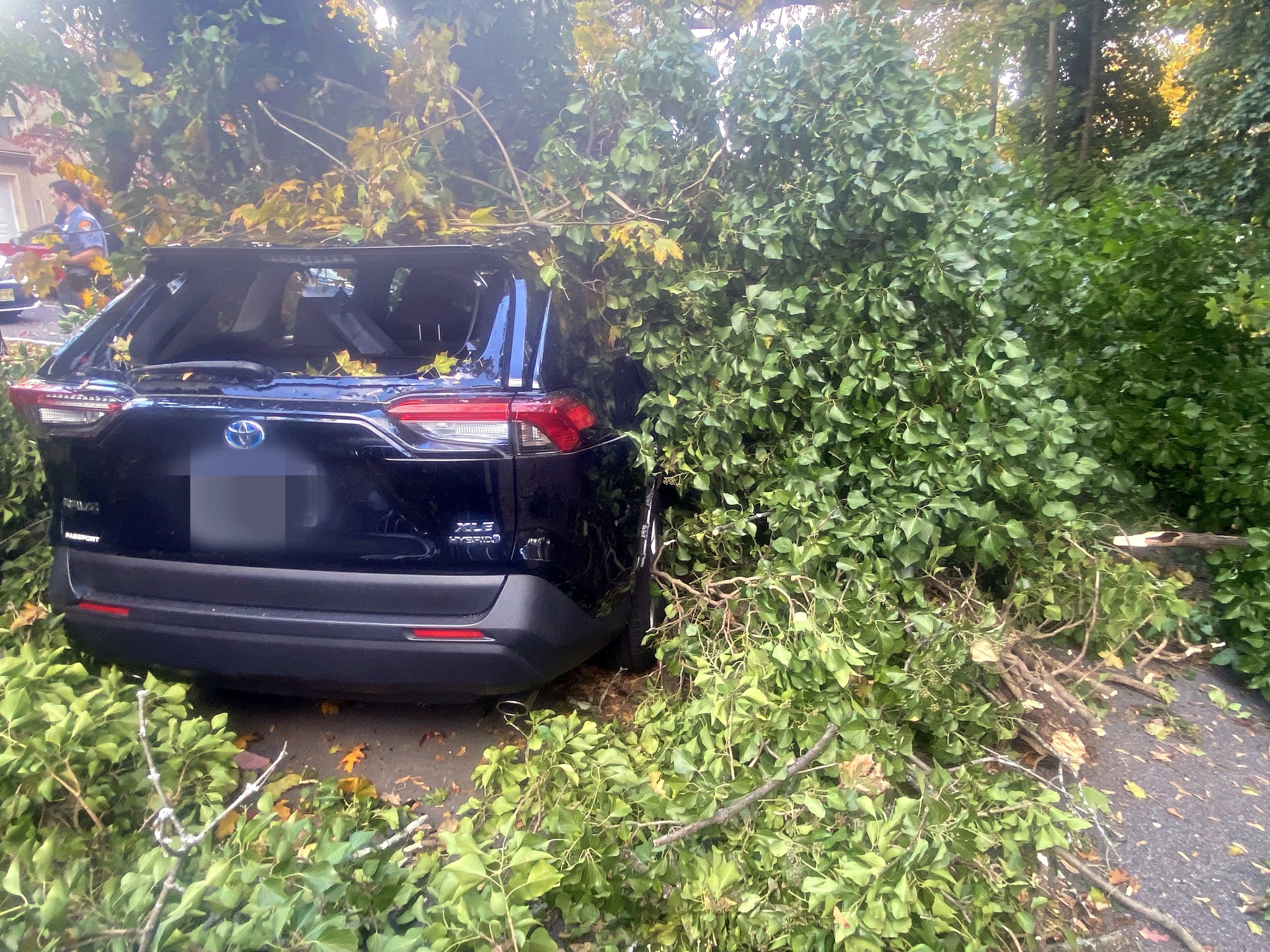 571282510 1446993824095796 4857995492990625693 n