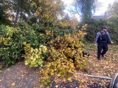 573873593 1446993924095786 7248440077961497398 n