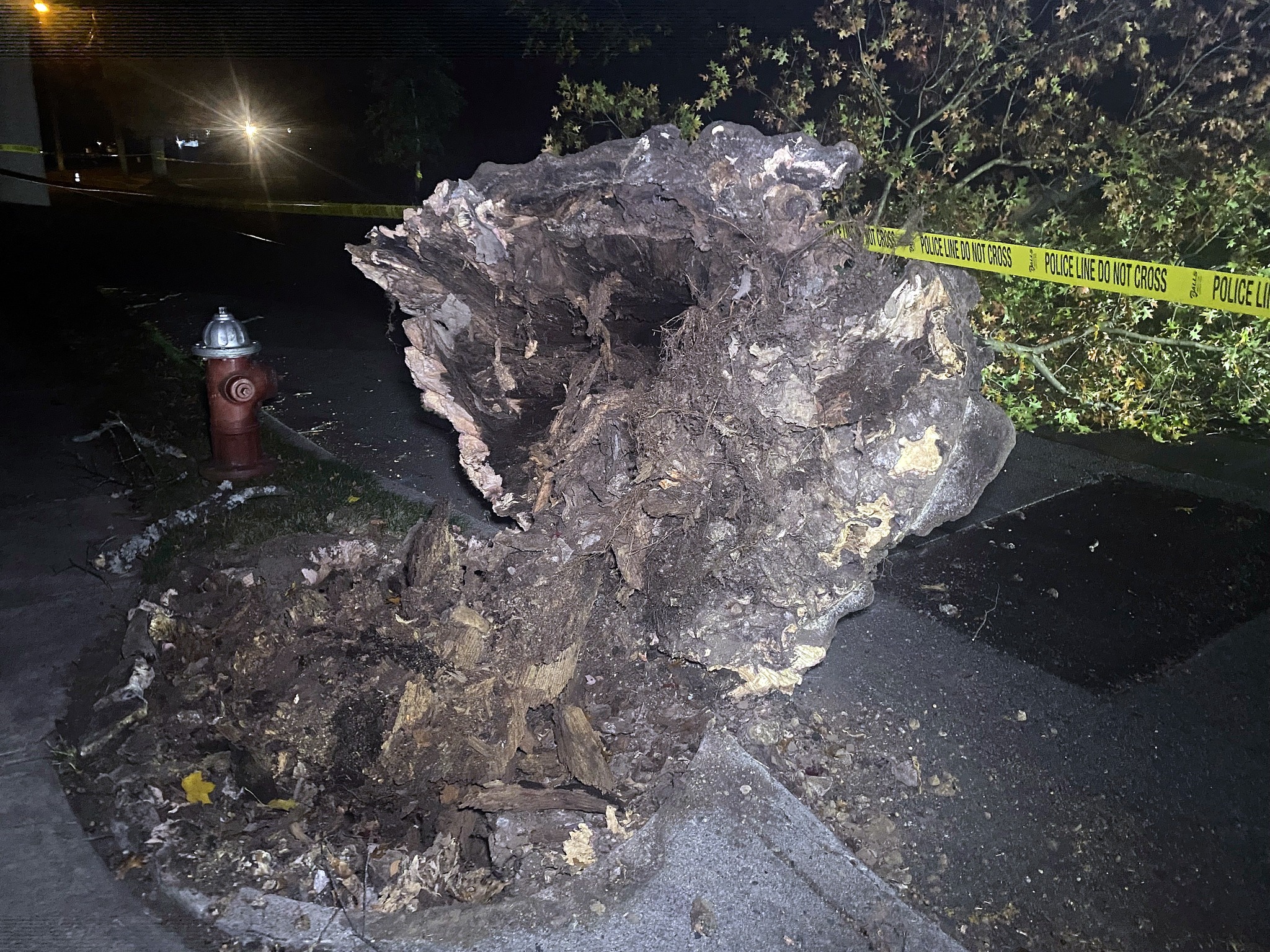 577532941 1452252213569957 2410977599545755986 n