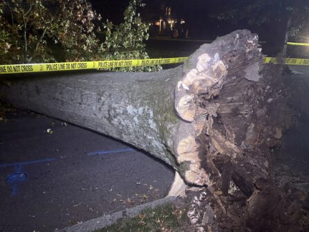 577555204 1452252210236624 4716996224829627026 n