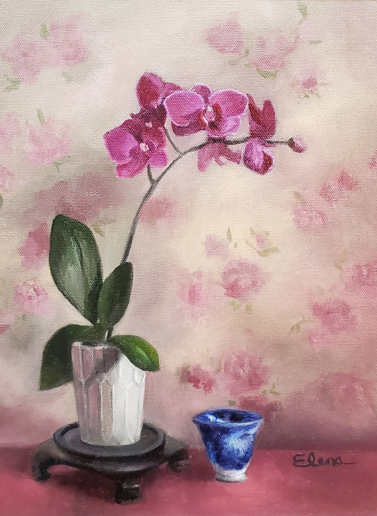 585883790 1622754162398859 482589248800292832 n