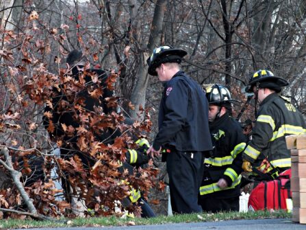 592391129 1473571591438019 2288324121680935045 n