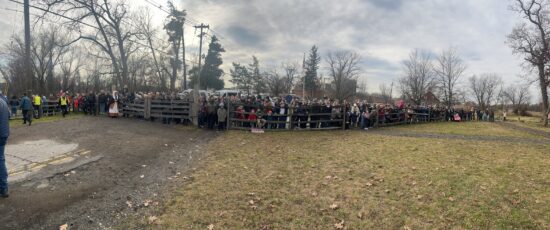 587328378 794743530209002 8513000316946039388 n