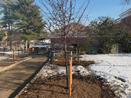 590430222 17967640497004883 601192791928448591 n