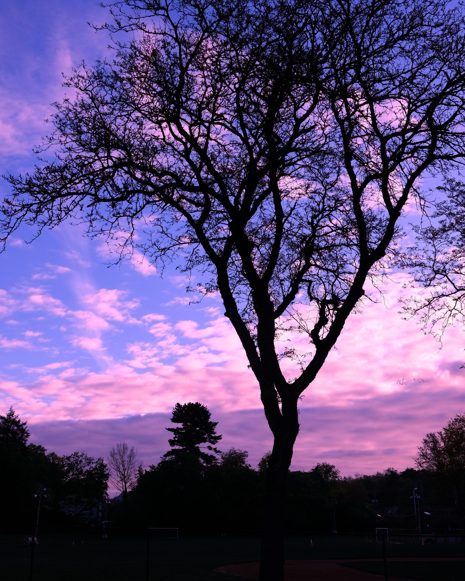 597555013 1277586714401840 5374458816465744986 n