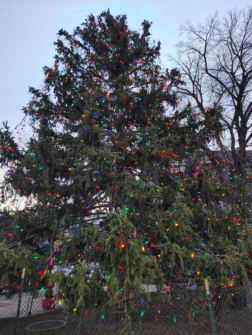 IMG 20251209 160335506 HDR