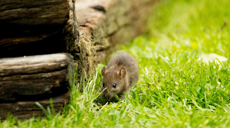 Screenshot 2025 12 12 092227