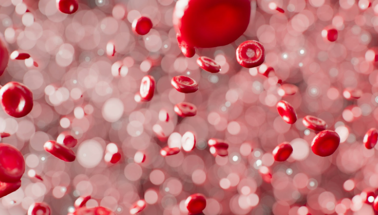 Screenshot 2025 12 17 091025