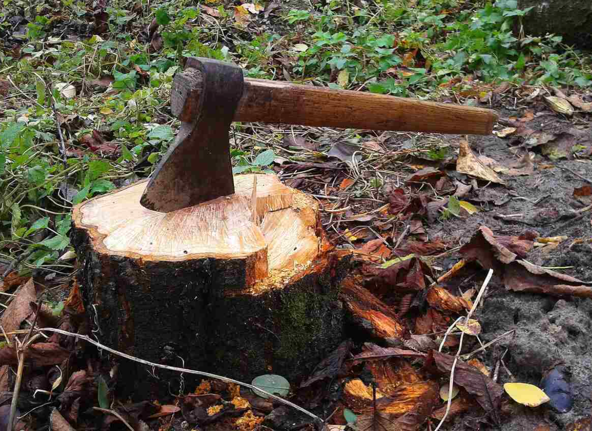 Screenshot 2025 12 22 063412