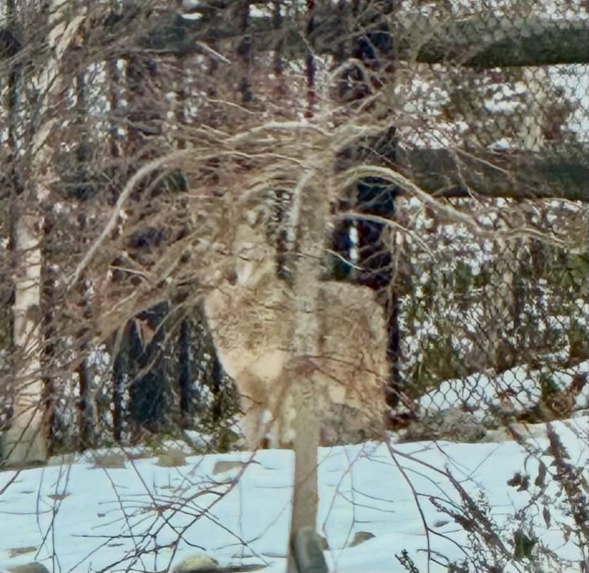 610633805 18062331152646699 71226157533190849 n 1