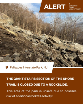 612369916 1313107600846719 2803665516229926305 n