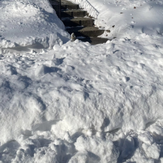 622263257 1331663788988480 6538627161467546099 n