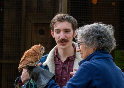 eric en plein air tilly eastern screech owl orig