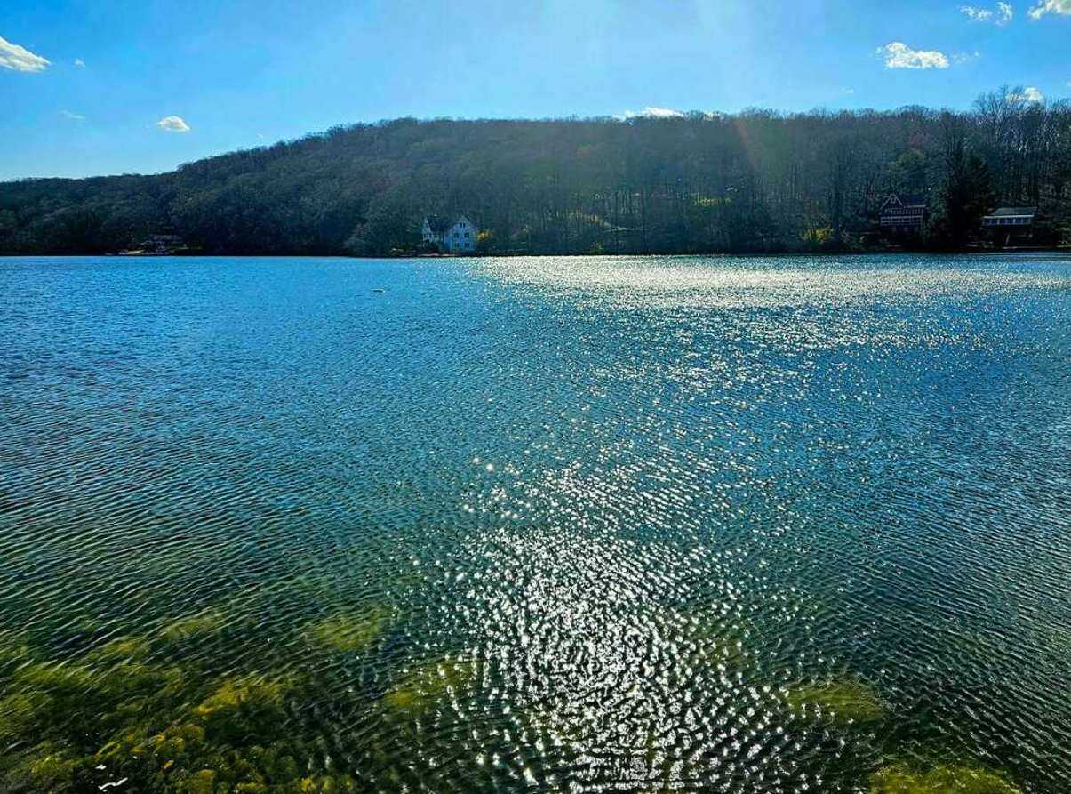 Screenshot 2026 02 01 071728