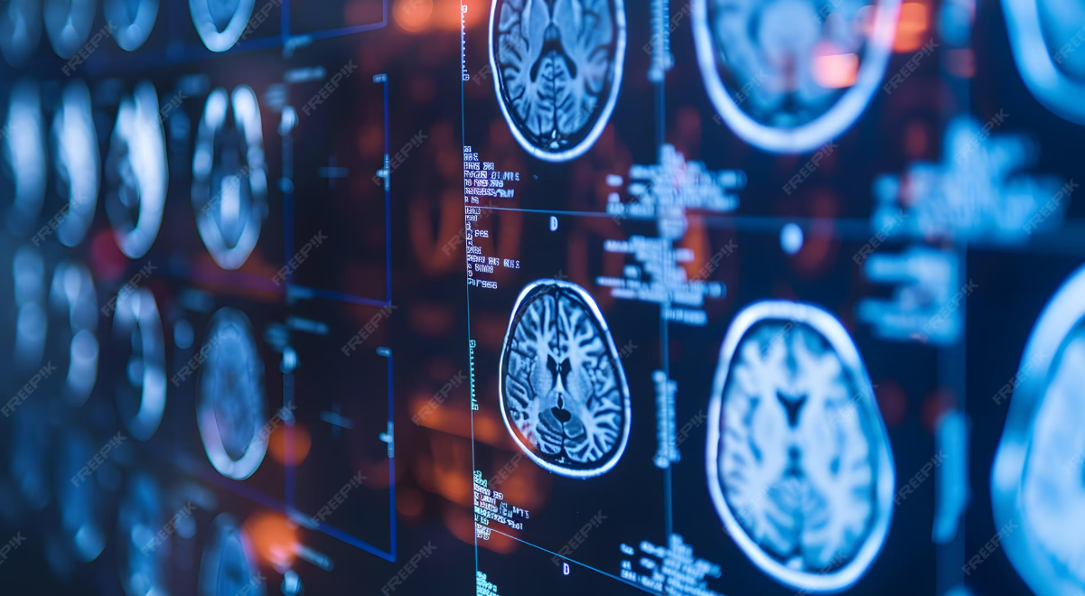 Screenshot 2026 02 08 044453