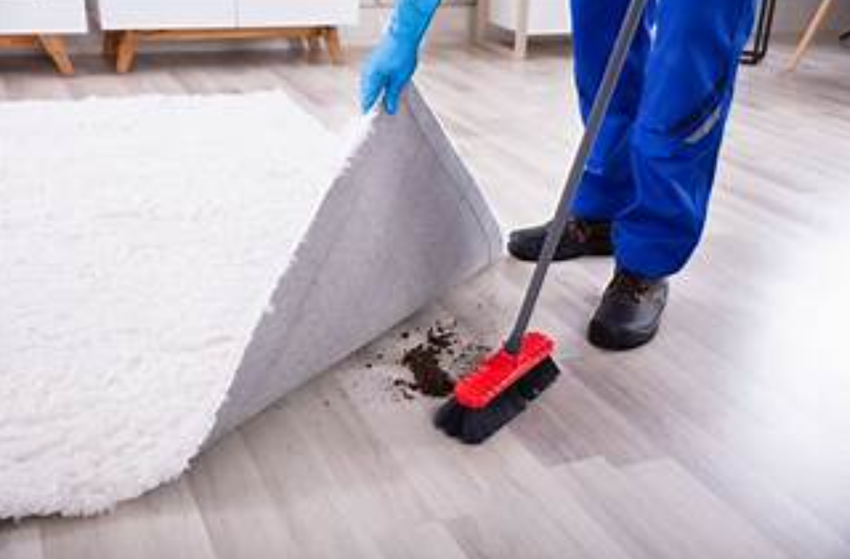 Screenshot 2026 02 15 063239