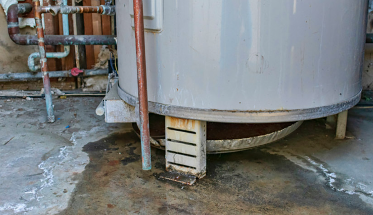 Screenshot 2026 02 17 130723