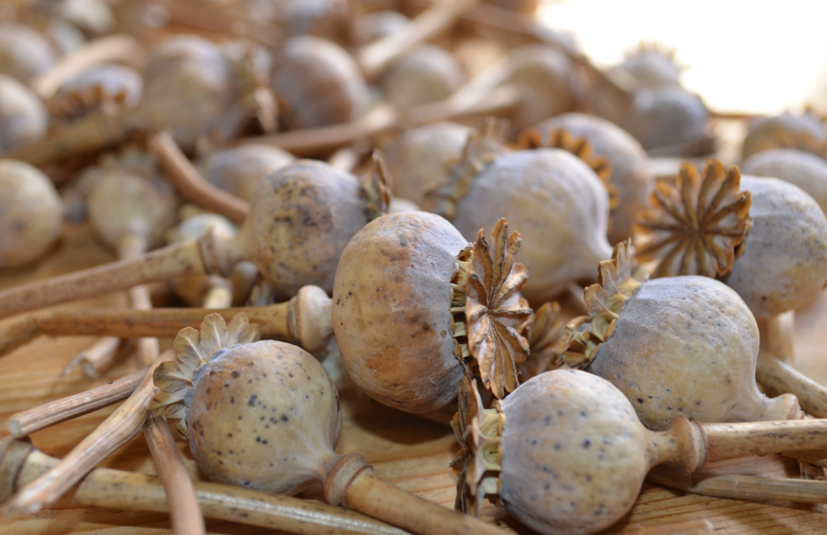 Screenshot 2026 02 19 064019