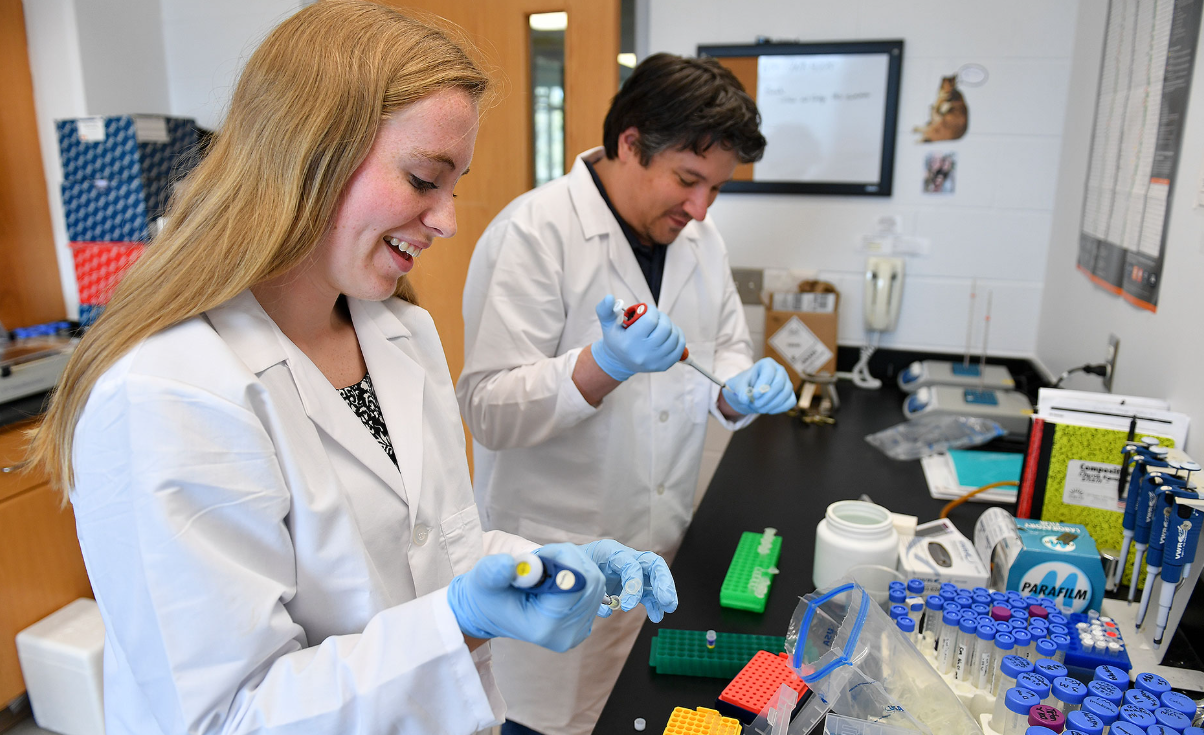 Screenshot 2026 02 27 100247