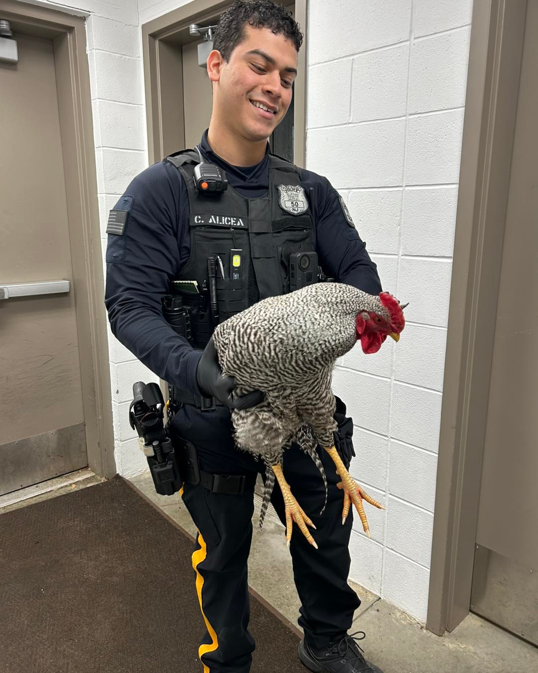 645503345 1380705587423283 6073716329103864028 n