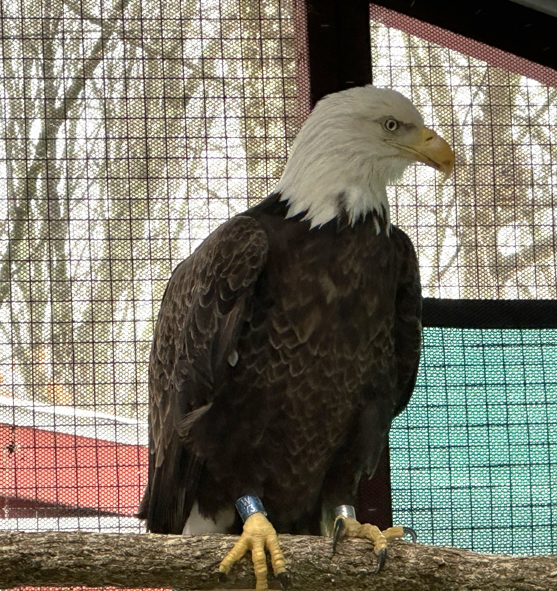 646263053 1337166555118341 971616326469857959 n