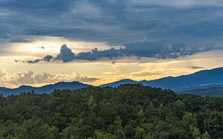 Screenshot 2026 03 02 181415