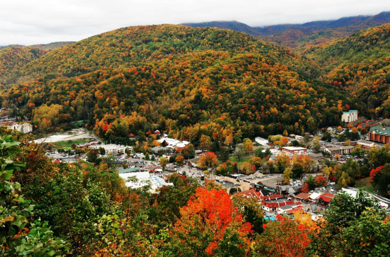 Screenshot 2026 03 02 182151