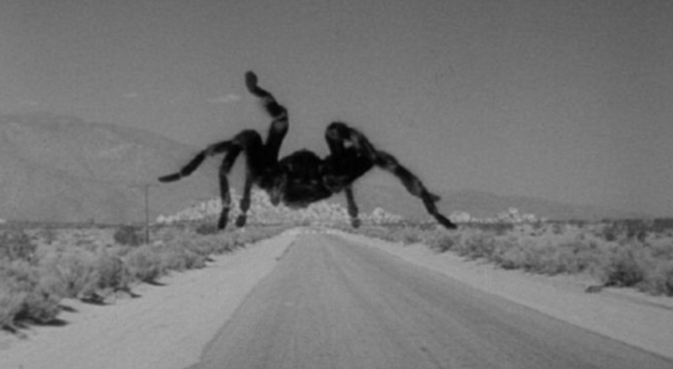 Screenshot 2026 03 08 073249