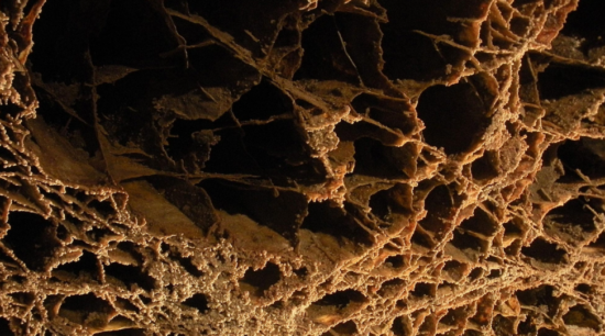 Screenshot 2026 03 08 073551