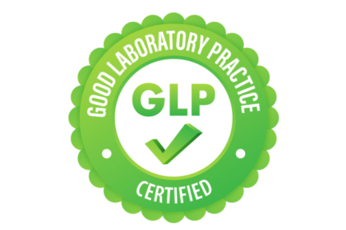 Screenshot 2026 03 12 073339