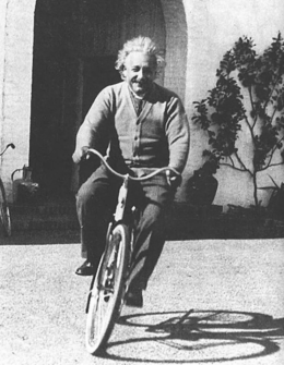 Why We Celebrate Pi Day: The Infinite Story Behind 3.14 Screenshot 2026 03 14 045907