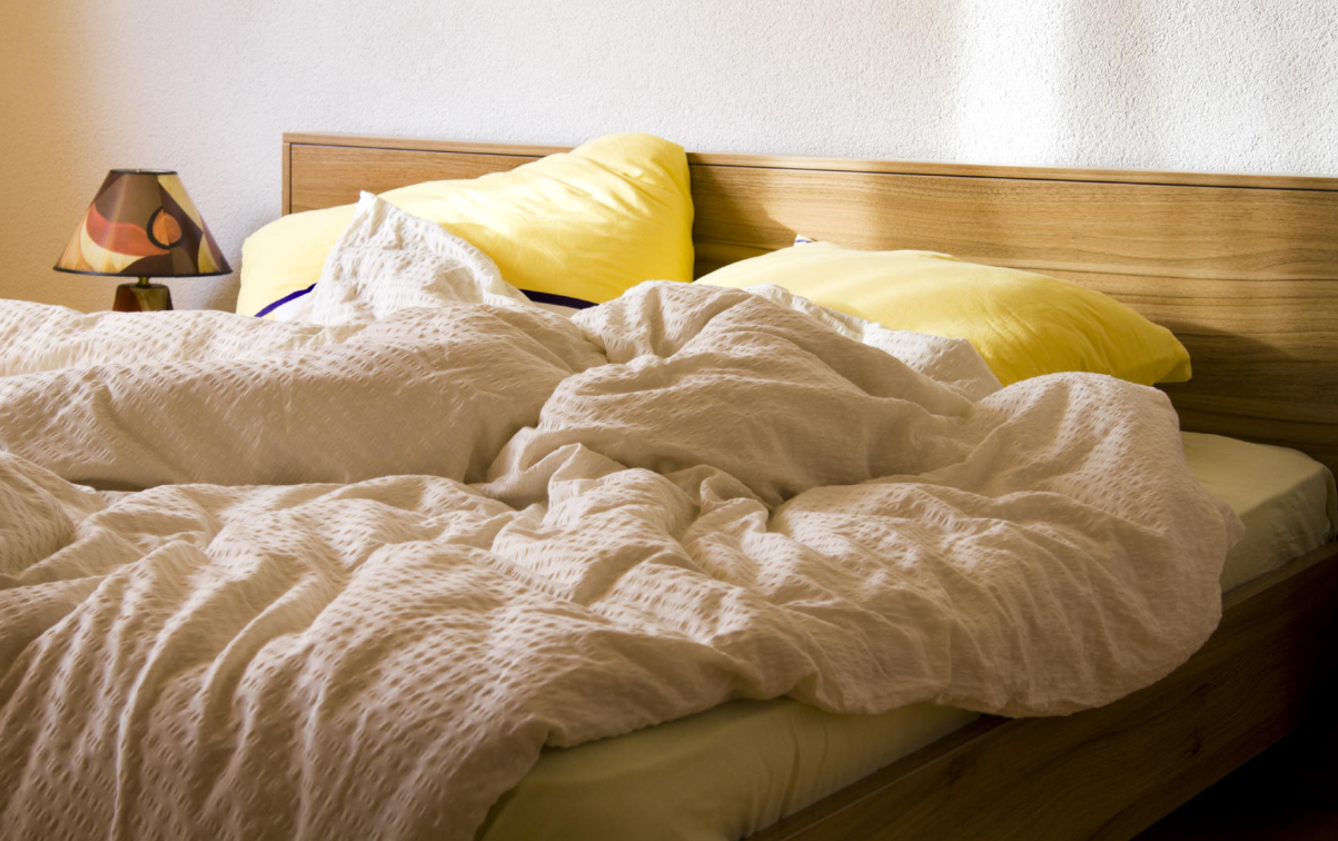 Screenshot 2026 03 16 085620