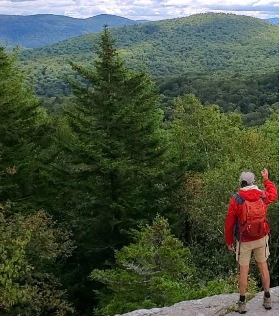 Screenshot 2026 03 17 110456